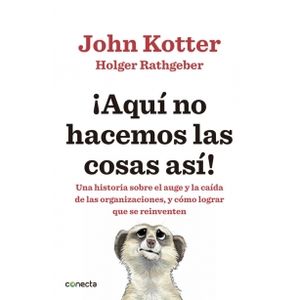 AQUI NO HACEMOS LAS COSAS ASI!