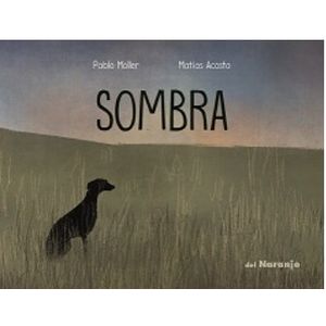 SOMBRA - UN GATO GRIS