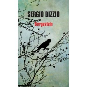 LIBRO BORGESTEIN - SERGIO BIZZIO