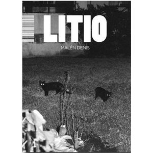 LIBRO LITIO - MALEN DENIS