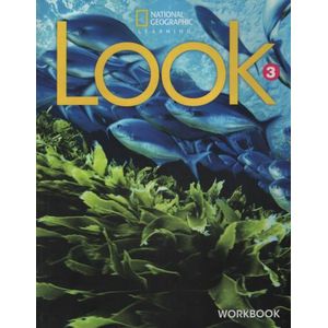 AMERICAN LOOK 3 - WORKBOOK