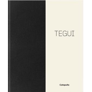 TEGUI - APENDICE EN INGLES - GERMAN MARTITEGUI