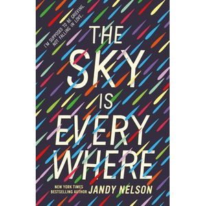 THE SKY IS EVERYWHERE - JANDY NELSON