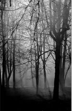9788412056051-foto3