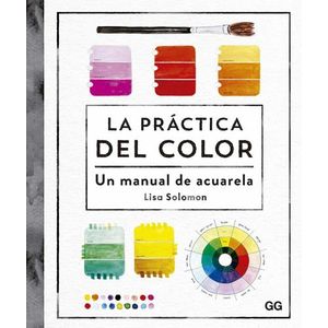 LA PRACTICA DEL COLOR - LISA SOLOMON
