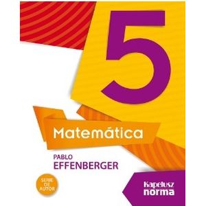 MATEMATICA 5 PABLO EFFENBERGER - SERIE DE AUTOR