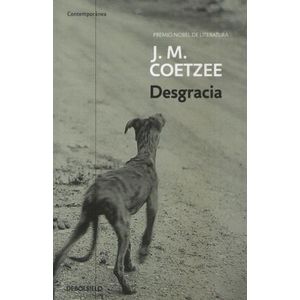 DESGRACIA (BOLSILLO)