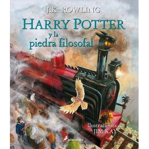 HARRY POTTER Y LA PIEDRA FILOSOFAL - EDICION ILUSTRADA - J.