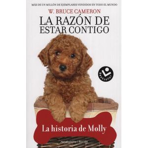 LA HISTORIA DE MOLLY - LA RAZÓN DE ESTAR CONTIGO