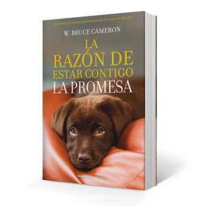LIBRO LA RAZON DE ESTAR CONTIGO 3 - LA PROMESA - BRUCE CAMER