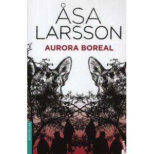 AURORA BOREAL