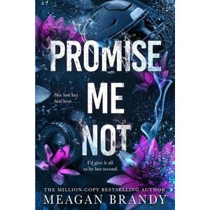 PROMISE ME NOT - BOYS OF AVIX 2 - MEAGAN BRANDY