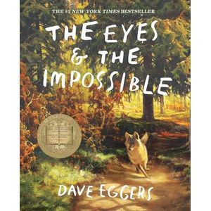 THE EYES AND THE IMPOSSIBLE - DAVE EGGERS - HARRIS SHAWN