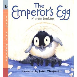 THE EMPEROR'S EGG - BIG BOOK - MARTIN JENKINS - JANE CHAPMAN