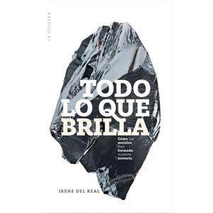 TODO LO QUE BRILLA - IRENE DEL REAL