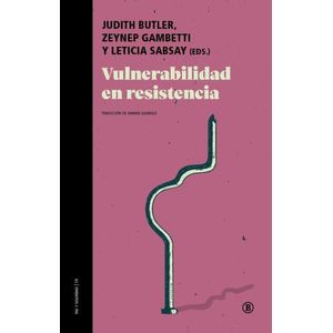 VULNERABILIDADES EN RESISTENCIA