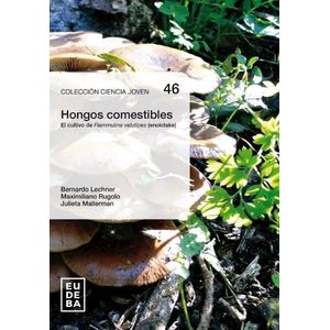 LIBRO HONGOS COMESTIBLES - BERNARDO LECHNER