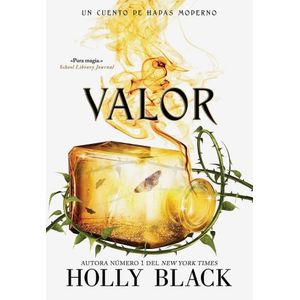 LIBRO VALOR - HOLLY BLACK