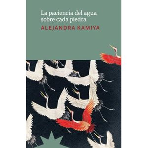 LA PACIENCIA DEL AGUA SOBRE CADA PIEDRA - ALEJANDRA KAMIYA