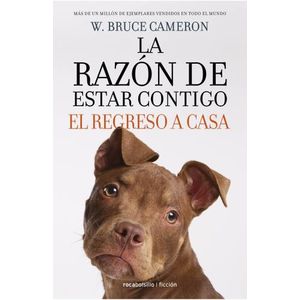 EL REGRESO A CASA - LA RAZON DE ESTAR CONTIGO 3