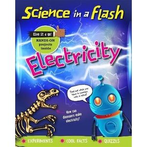 ELECTRICITY - SCIENCE IN A FLASH