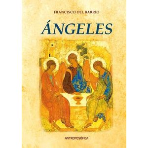LIBRO ANGELES - FRANCISCO DEL BARRIO