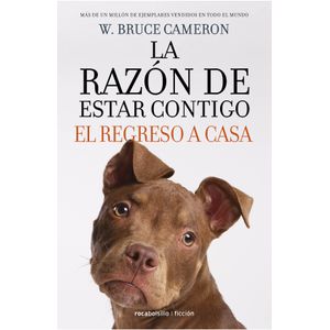 EL REGRESO A CASA - LA RAZON DE ESTAR CONTIGO 3