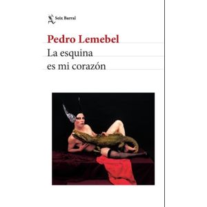 LA ESQUINA DE MI CORAZON - PEDRO LEMEBEL