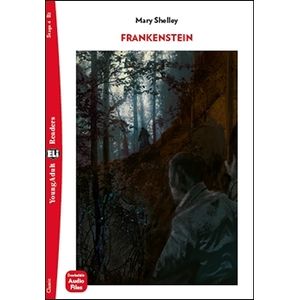 FRANKENSTEIN - YOUNG ADULT HUB READERS 4 (B2)
