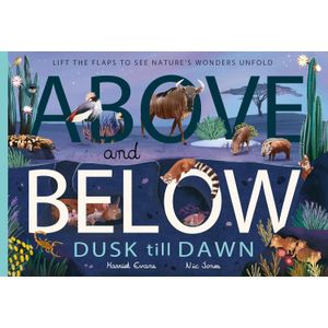 ABOVE AND BELOW - DUSK AND DAWN - HARRIET EVANS
