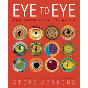 EYE TO EYE - STEVE JENKINGS