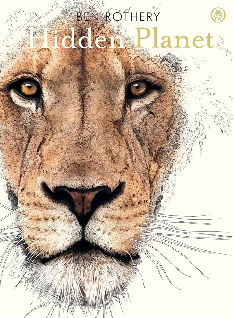 S8C/E+xhLxhWhIcqeD3PAo5Kyrs=