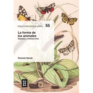 LA FORMA DE LOS ANIMALES - ESPEJOS Y REITERACIONES