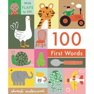 100 FIRST WORDS - WITH FLAPS TO LIFT!
