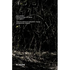 TENER LO QUE SE TIENE- VOL.1 - ED. AUMENTADA - DIANA BELLESI
