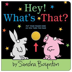 HEY! WHAT'S THAT? - SANDRA BOYNTON