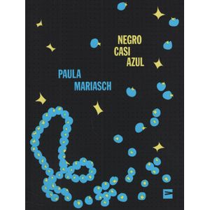 LIBRO NEGRO CASI AZUL - PAULA MARIASCH