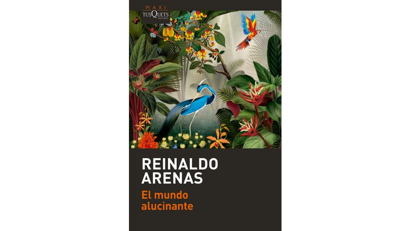 洋書 El Mundo Alucinante/Reinaldo Arenas Amazon.com: El mundo alucinante: 9788483100387: Arenas