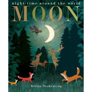 MOON - PATRICIA HEGARTY