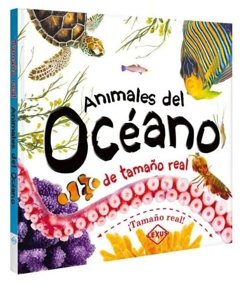 Duycrn7EkFBEWX9ffQw/TEX9A9k=