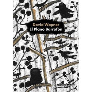 EL PLANO BARROFON - DAVID WAPNER