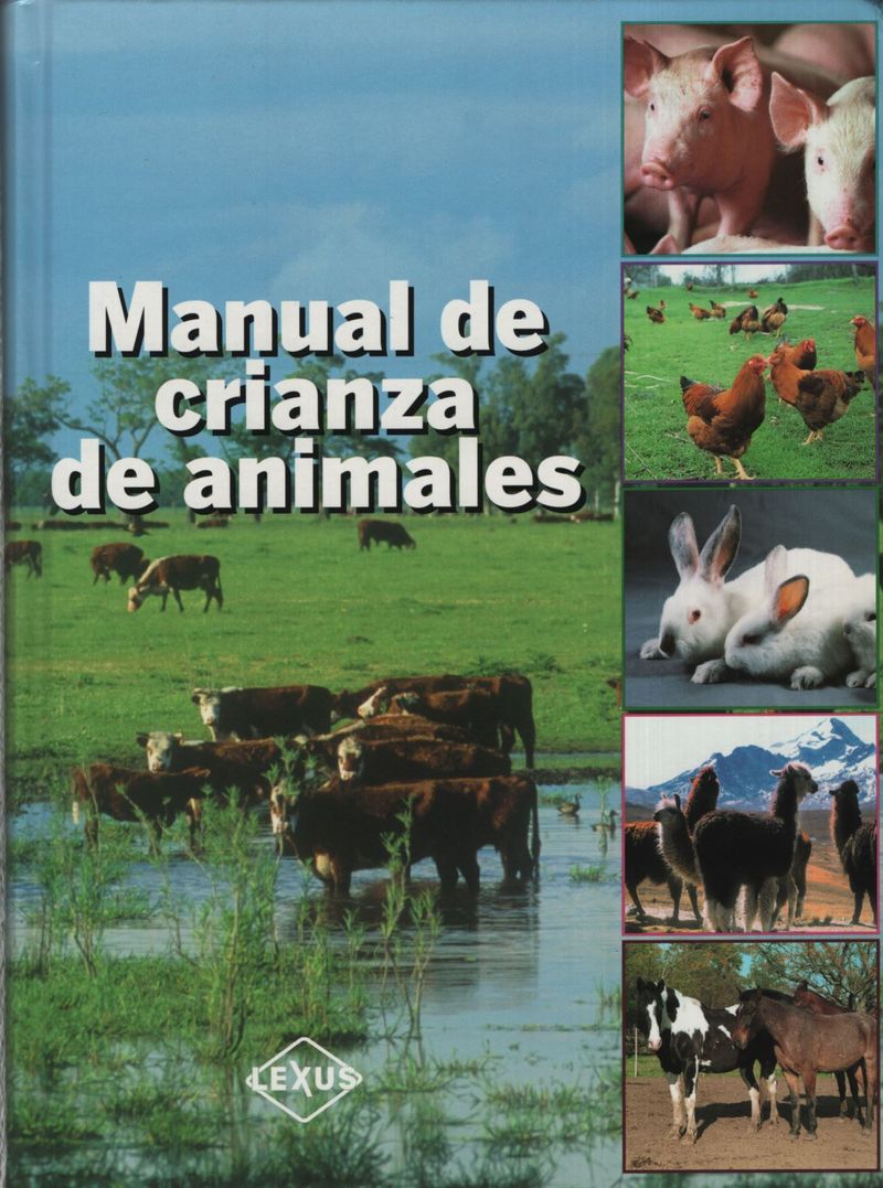 IA5LdAy3e9eGo+ynNe9NO/v2T7I=