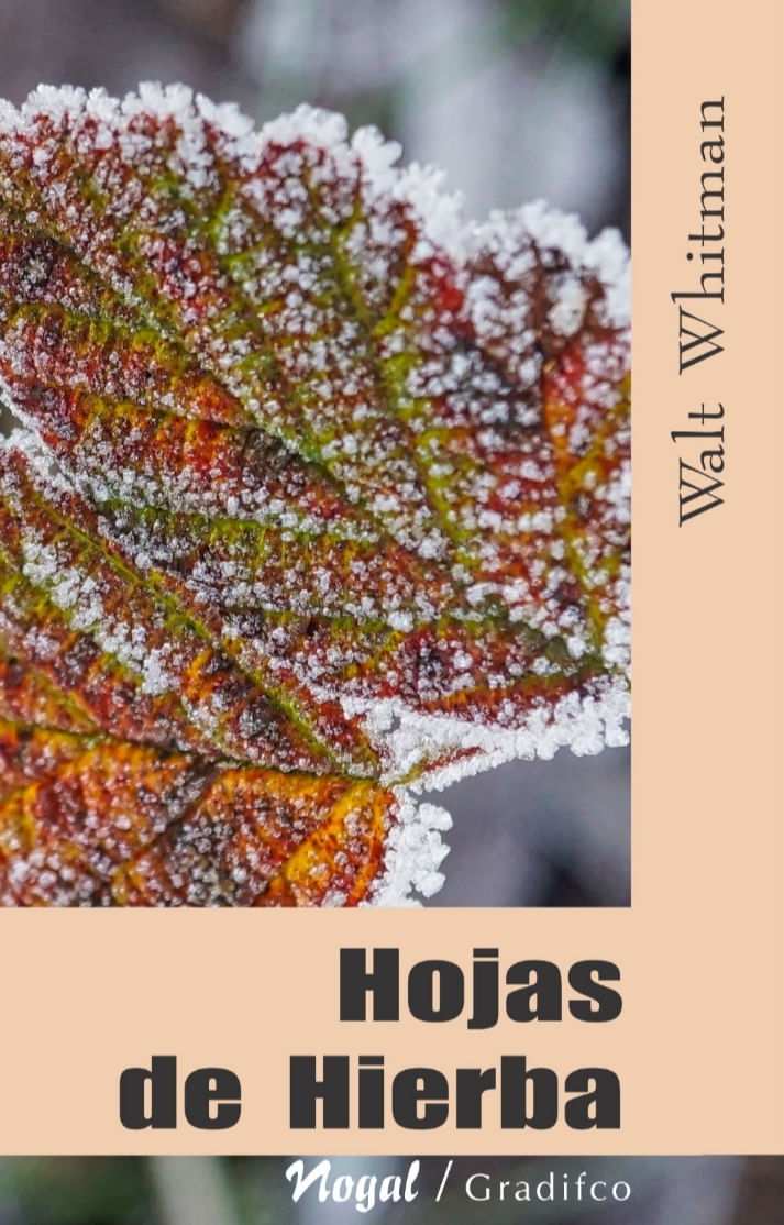 bRVsj+pSb4784pc8j0f8JKJyHn4=