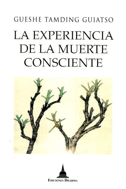 cLJqfH1cBH1phEiogcbCAd2/tek=