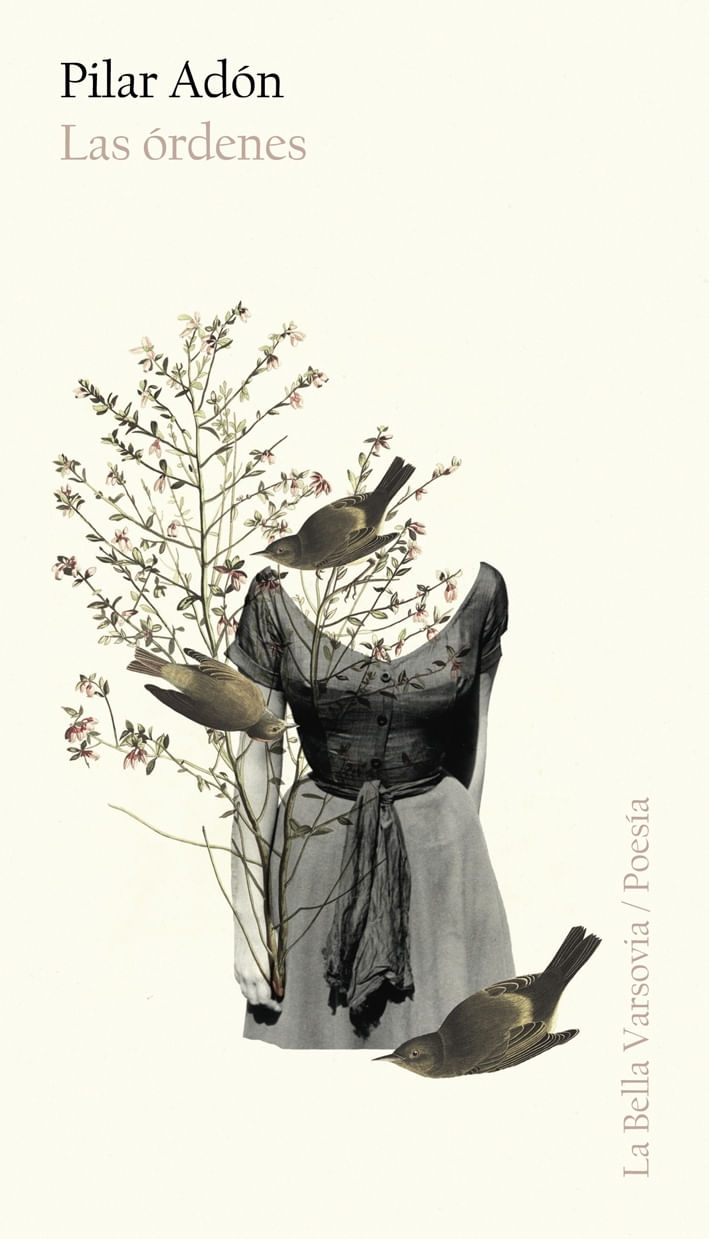 dehVR9TUlADq+CaYQQEeZxcUZ8s=