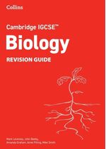 vVuBupxYOTncMWbJNYskZHgT/Z4=