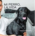 ckyZM910By74Dgxee4wBIxMEzik=