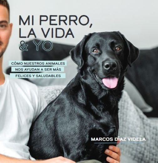 ckyZM910By74Dgxee4wBIxMEzik=