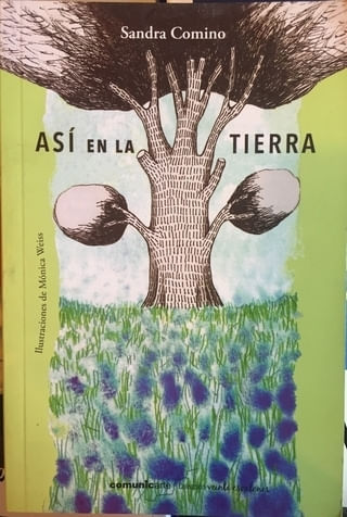 ASI EN LA TIERRA - VEINTE ESCALONES