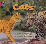 0VqvMVXo9RCdvnVjk4A5T7C1MLs=